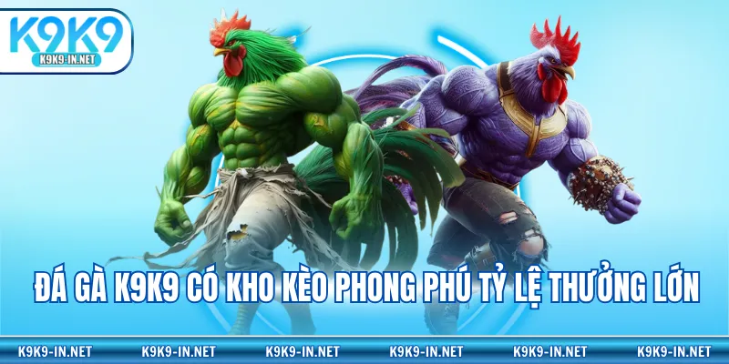 Đá gà K9K9 có kho kèo phong phú tỷ lệ thưởng lớn