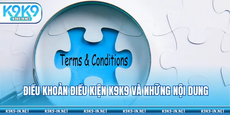 Điều khoản điều kiện K9K9 và những nội dung
