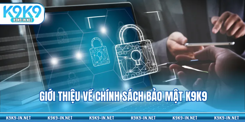 Giới thiệu chung về chính sách bảo mật K9K9 áp dụng